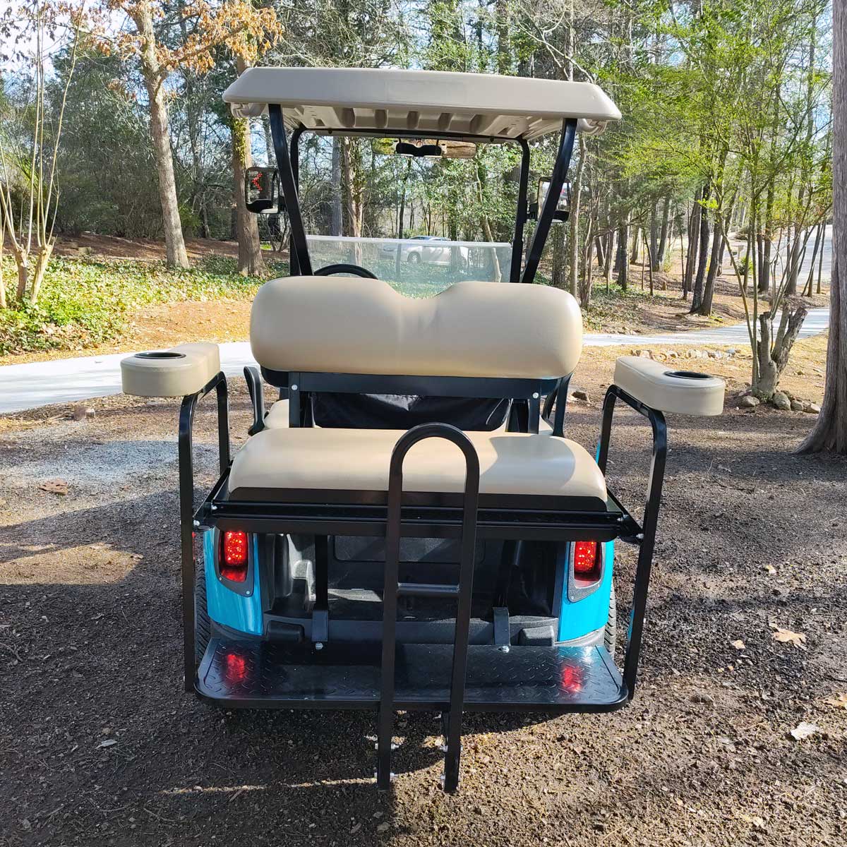 2017 EZGO RXV - Teal